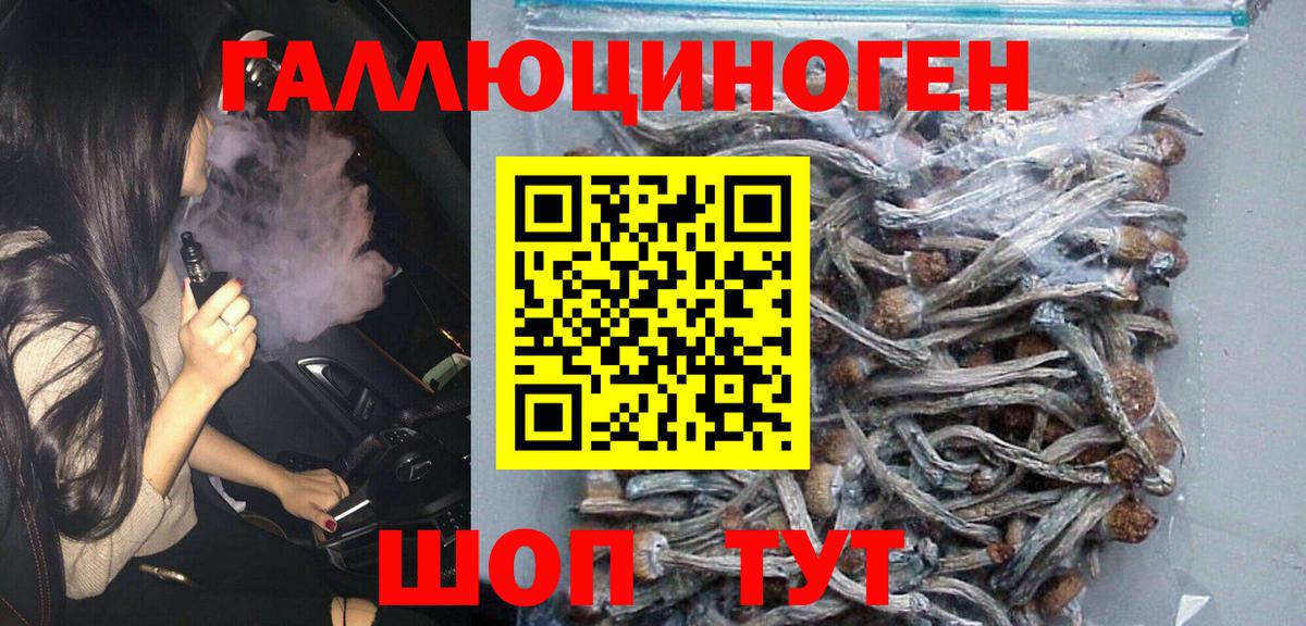 Псилоцибиновые грибы Magic Shrooms  Псилоцибиновые грибы GOLDEN TEACHER  Вход с VPN  Энгельс 