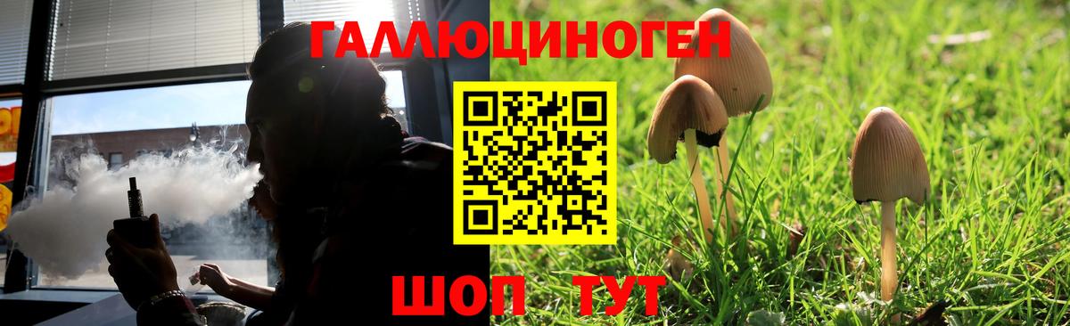 Галлюциногенные грибы Magic Shrooms Энгельс